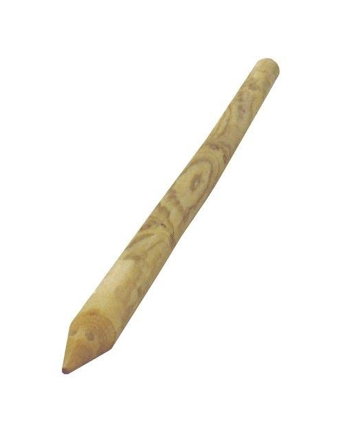 Zdjęcie: Palik do drzewek 7x250 cm COMPLEX