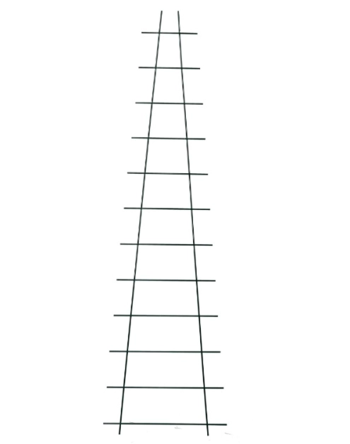 Zdjęcie: Podpora do roślin drabinka 70 cm RN DYSTRYBUCJA
