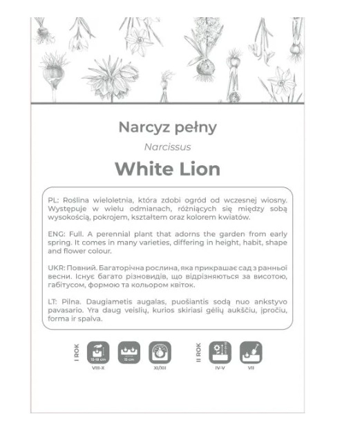 Zdjęcie: Narcyz White Lion biały z żółtym środkiem 3 sztuki W.LEGUTKO