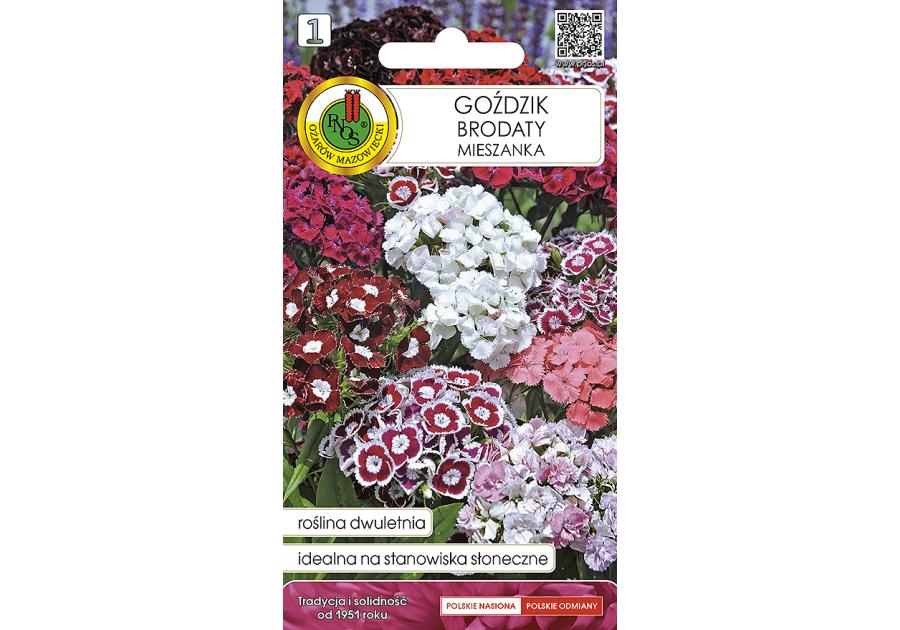 Zdjęcie: Goździk Brodaty mieszany 0,5 g PNOS