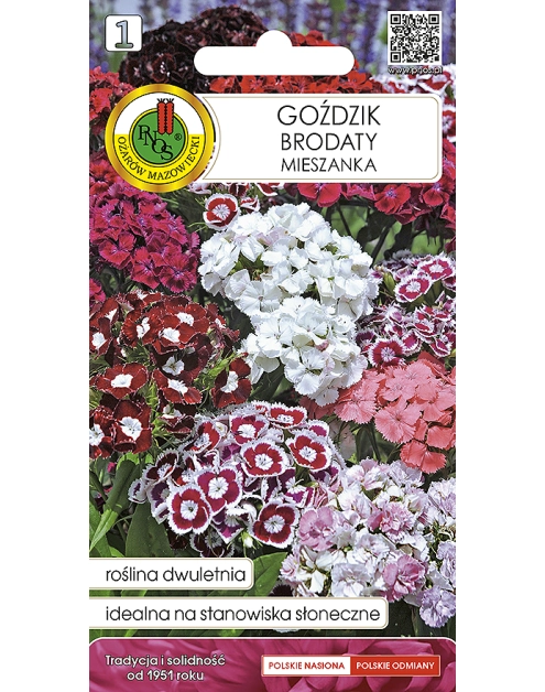 Zdjęcie: Goździk Brodaty mieszany 0,5 g PNOS