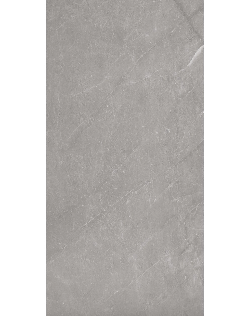 Zdjęcie: Panel Tiles Monreale Grey WMT 501C 4 mm MODEE