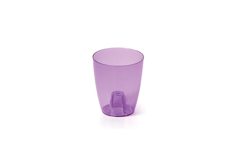 Zdjęcie: Oslonka storczyka 16 cm fioletowy PROSPERPLAST