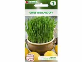 Owies wielkanocny nasiona tradycyjne 20 g W. LEGUTKO