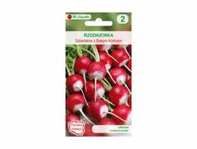 Rzodkiewka szkarłatna z białym końcem nasiona tradycyjne 10 g W. LEGUTKO