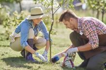 Jak założyć i pielęgnować ogród z drzewami owocowymi - sadzenie i pielęgnowanie drzew owocowych