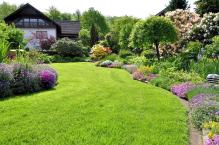 Jak założyć i  dbać o trawnik? Sianie, nawożenie, koszenie,  wertykulacja, aeracja trawnika. 