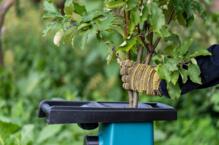 Jaki rozdrabniacz do gałęzi wybrać?