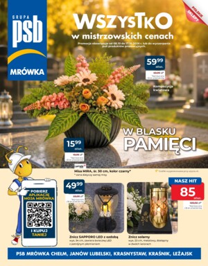 Gazetka promocyjna od 08-10-2026 do 17-10-2026
