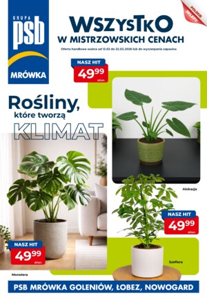 Gazetka promocyjna od 12-02-2026 do 22-02-2026
