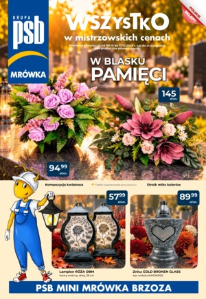 Gazetka promocyjna od 08-10-2026 do 17-10-2026