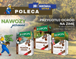 PSB Mrówka Ustka - Ogród