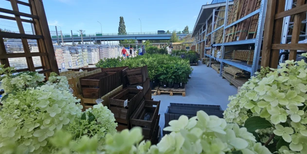 Zdjęcie: RR MRÓWKI SPÓŁKA Z OGRANICZONĄ ODPOWIEDZIALNOŚCIĄ