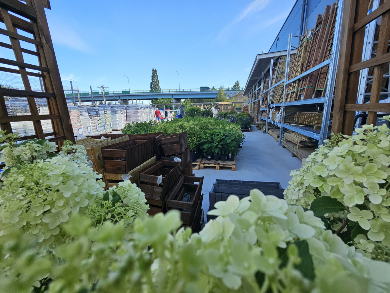 PSB Mrówka Pruszcz Gdański