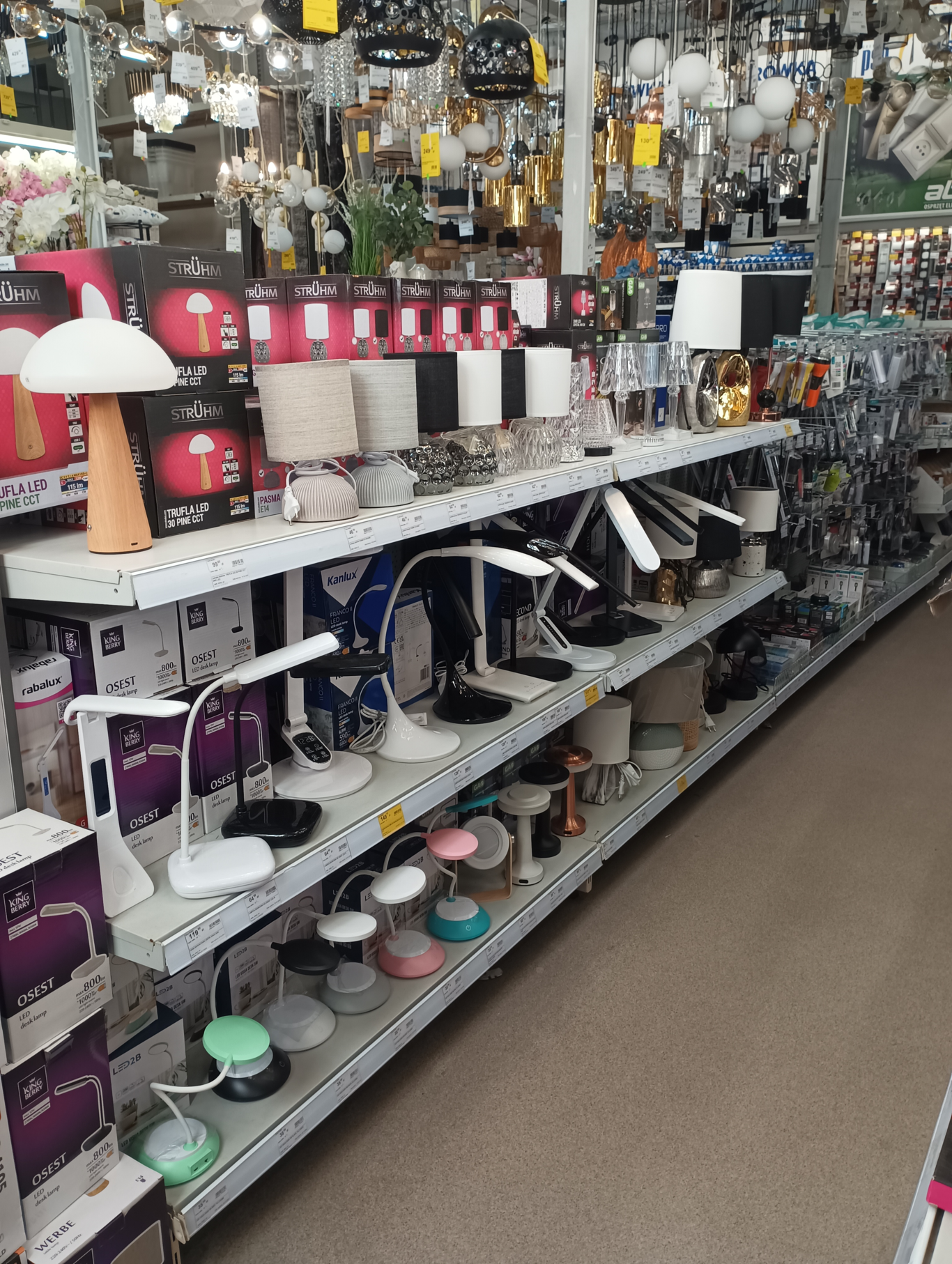 PSB Mrówka Pińczów