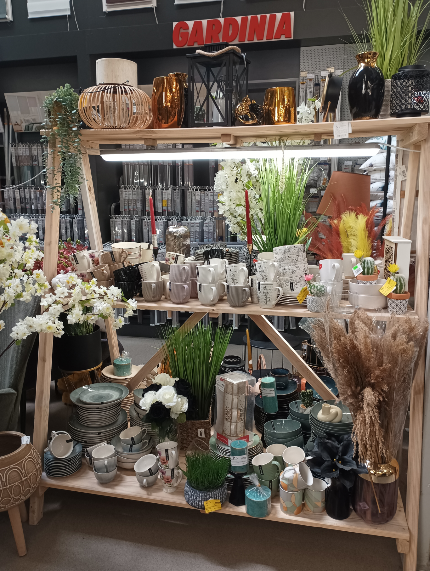 PSB Mrówka Pińczów