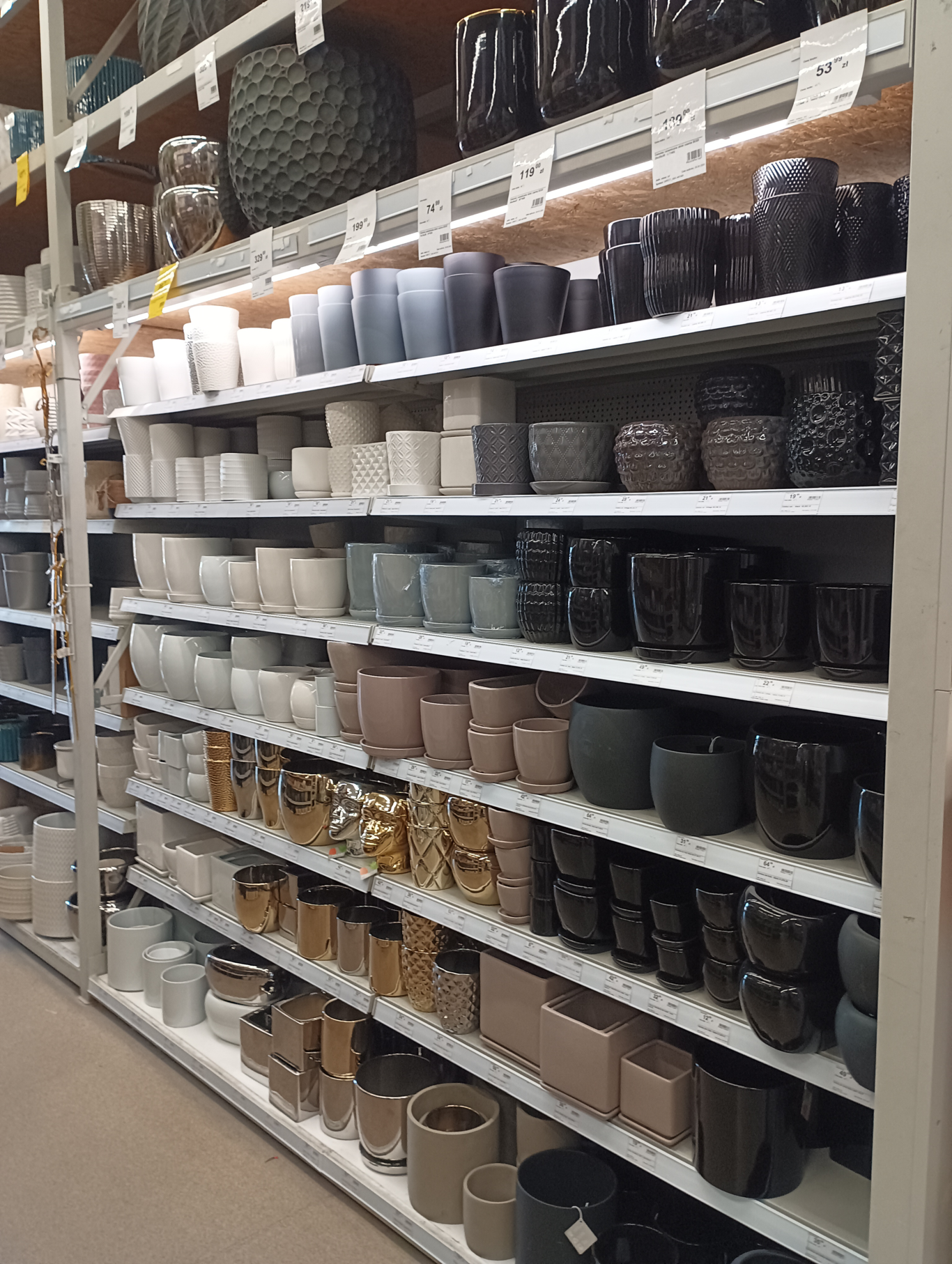 PSB Mrówka Pińczów