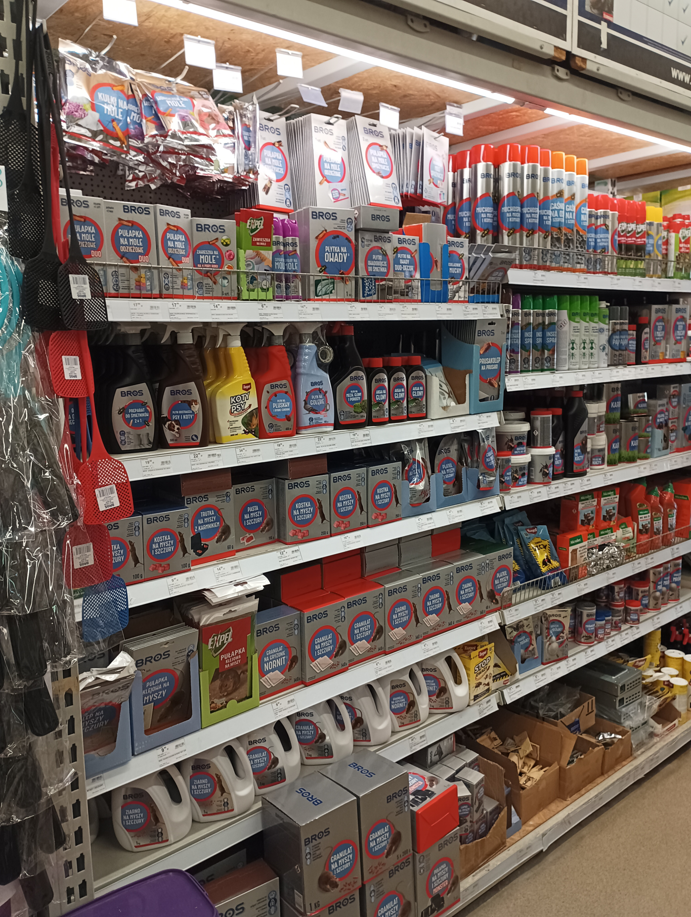 PSB Mrówka Pińczów