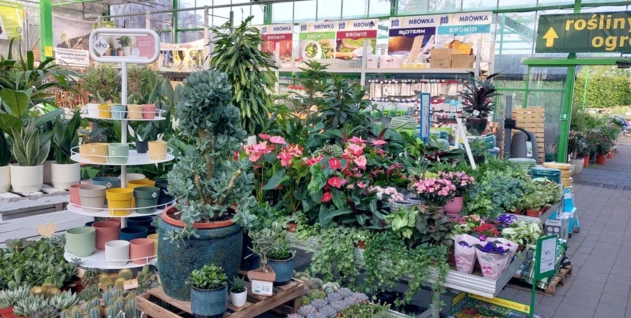 Zdjęcie: HORTICO SPÓŁKA AKCYJNA