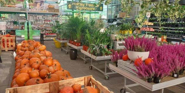 Zdjęcie: HORTICO SPÓŁKA AKCYJNA