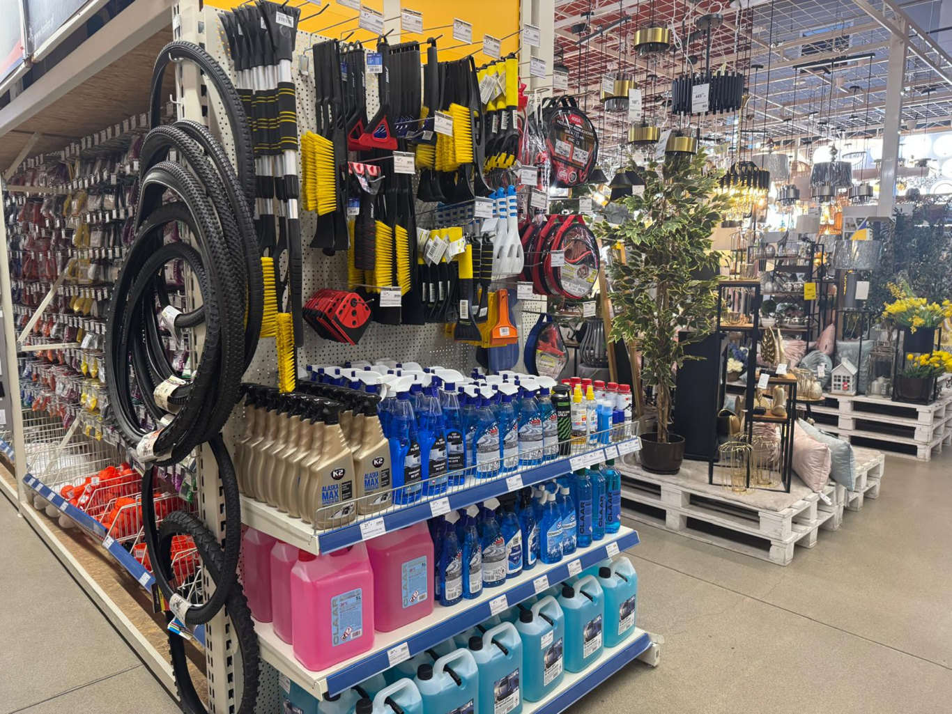 PSB Mrówka Włocławek