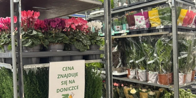 Zdjęcie: HORTICO SPÓŁKA AKCYJNA