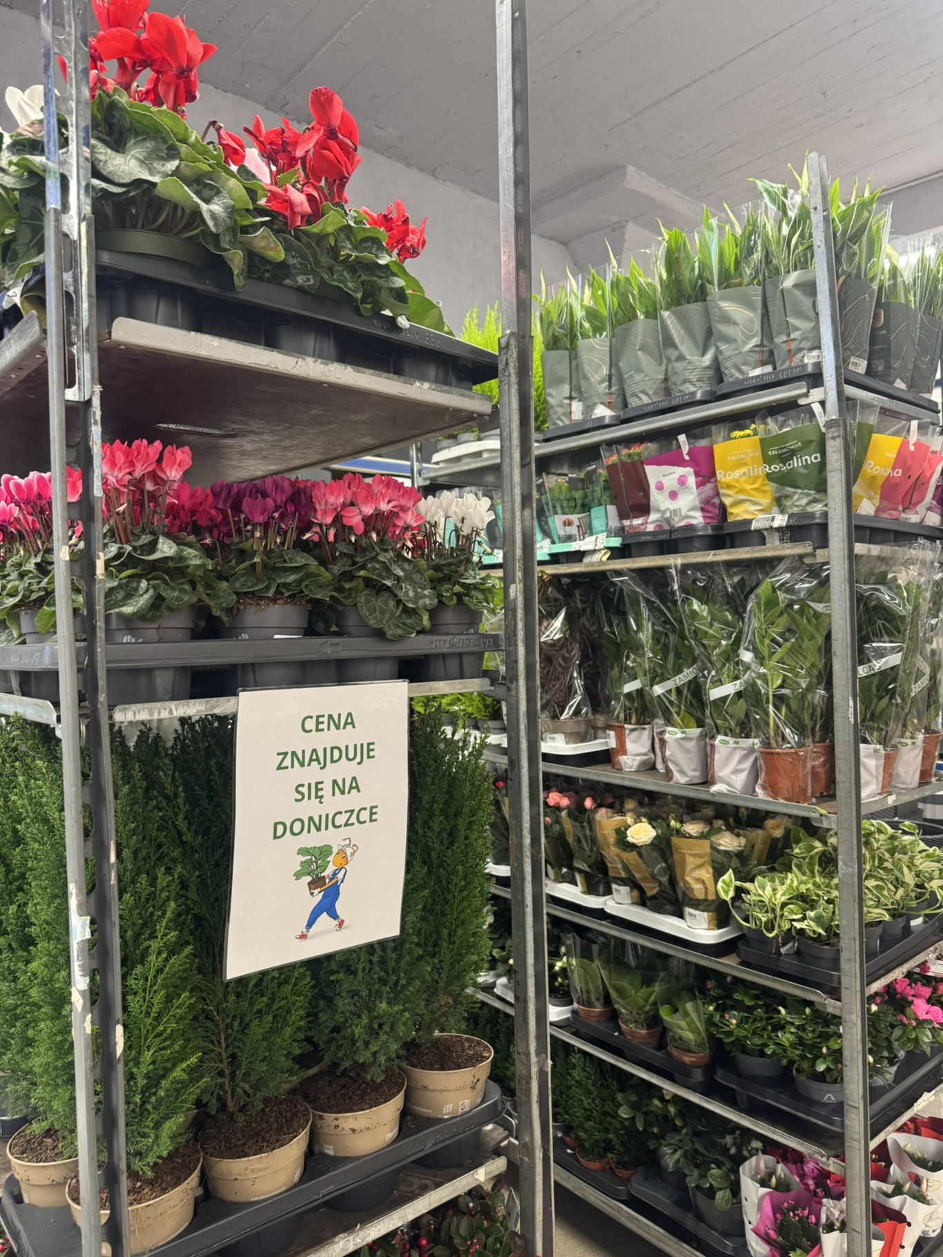 PSB Mrówka Włocławek