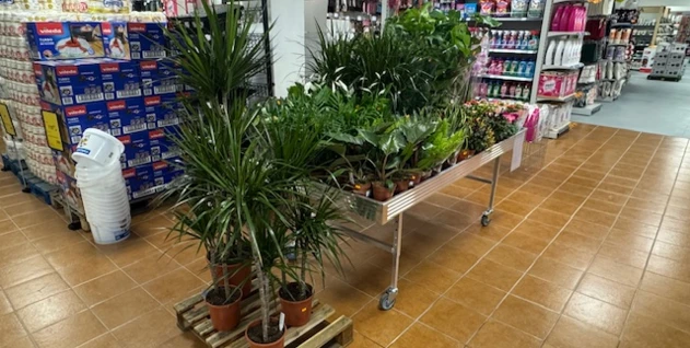 Zdjęcie: Przedsiębiorstwo Handlowo-Usługowe KOLOR Mirosław Mazur