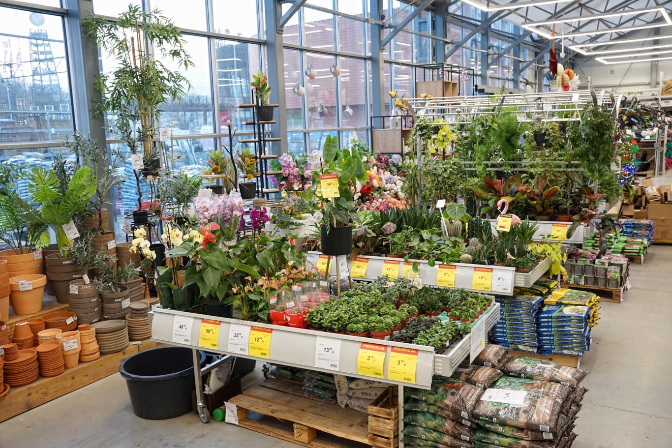 PSB Mrówka Wałbrzych