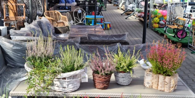 Zdjęcie: LE-GUM MARKET LEŚNIAK SPÓŁKA KOMANDYTOWA