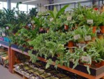 Zdjęcie: PSB MRÓWKA SPÓŁKA Z OGRANICZONĄ ODPOWIEDZIALNOŚCIĄ