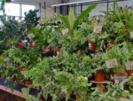 Zdjęcie: PSB MRÓWKA SPÓŁKA Z OGRANICZONĄ ODPOWIEDZIALNOŚCIĄ