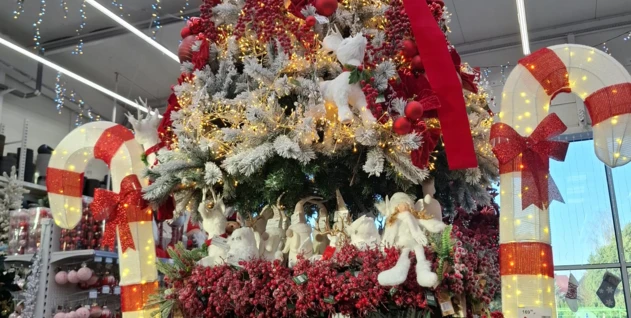 Zdjęcie: TRANS-PAL S.GZIK SPÓŁKA KOMANDYTOWA