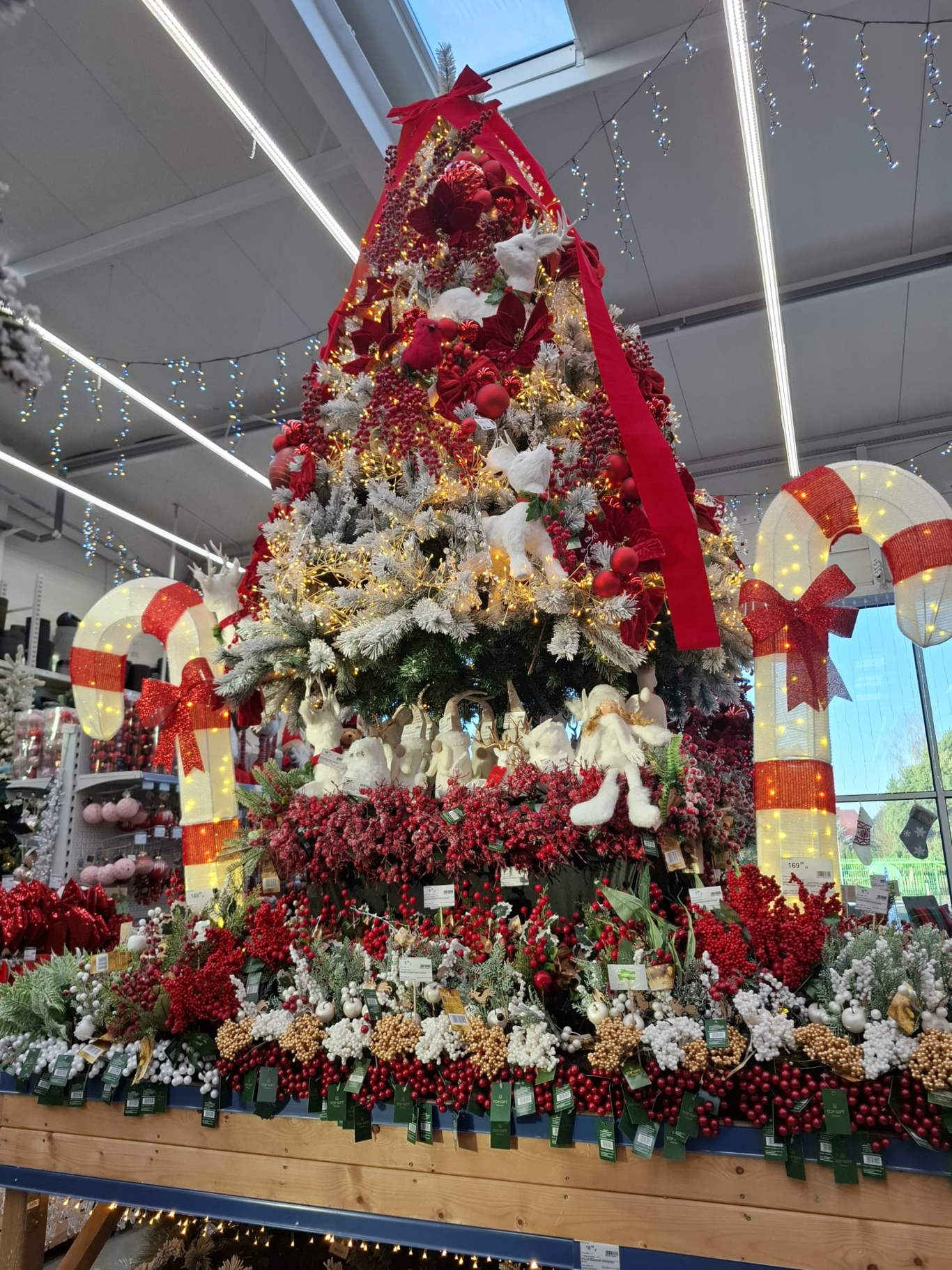 PSB Mrówka Krasnystaw