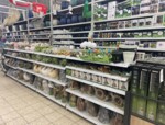 Zdjęcie: HFTRADECO RAFAŁ HERZYK SPÓŁKA KOMANDYTOWA