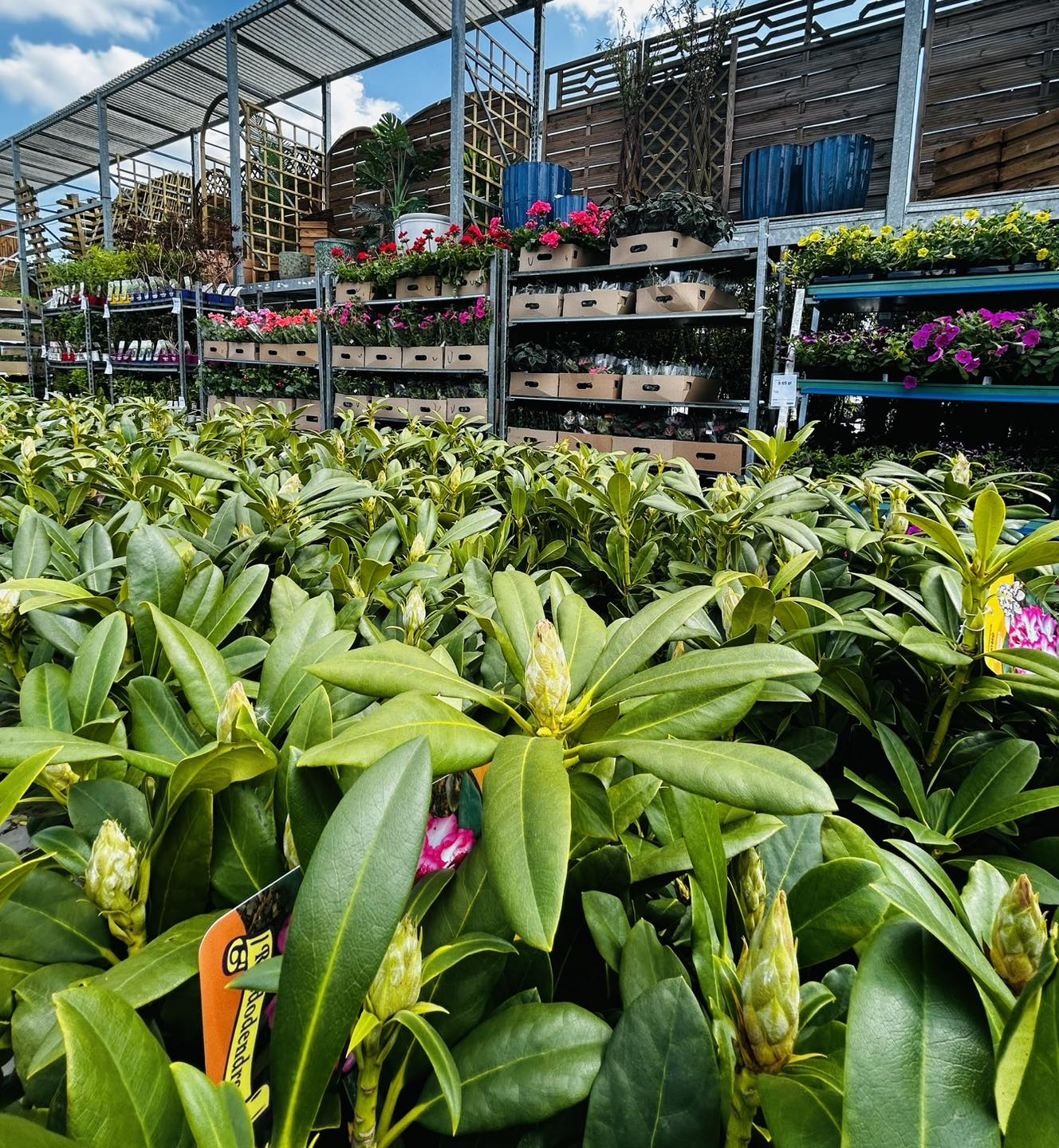 PSB Mrówka Niepołomice