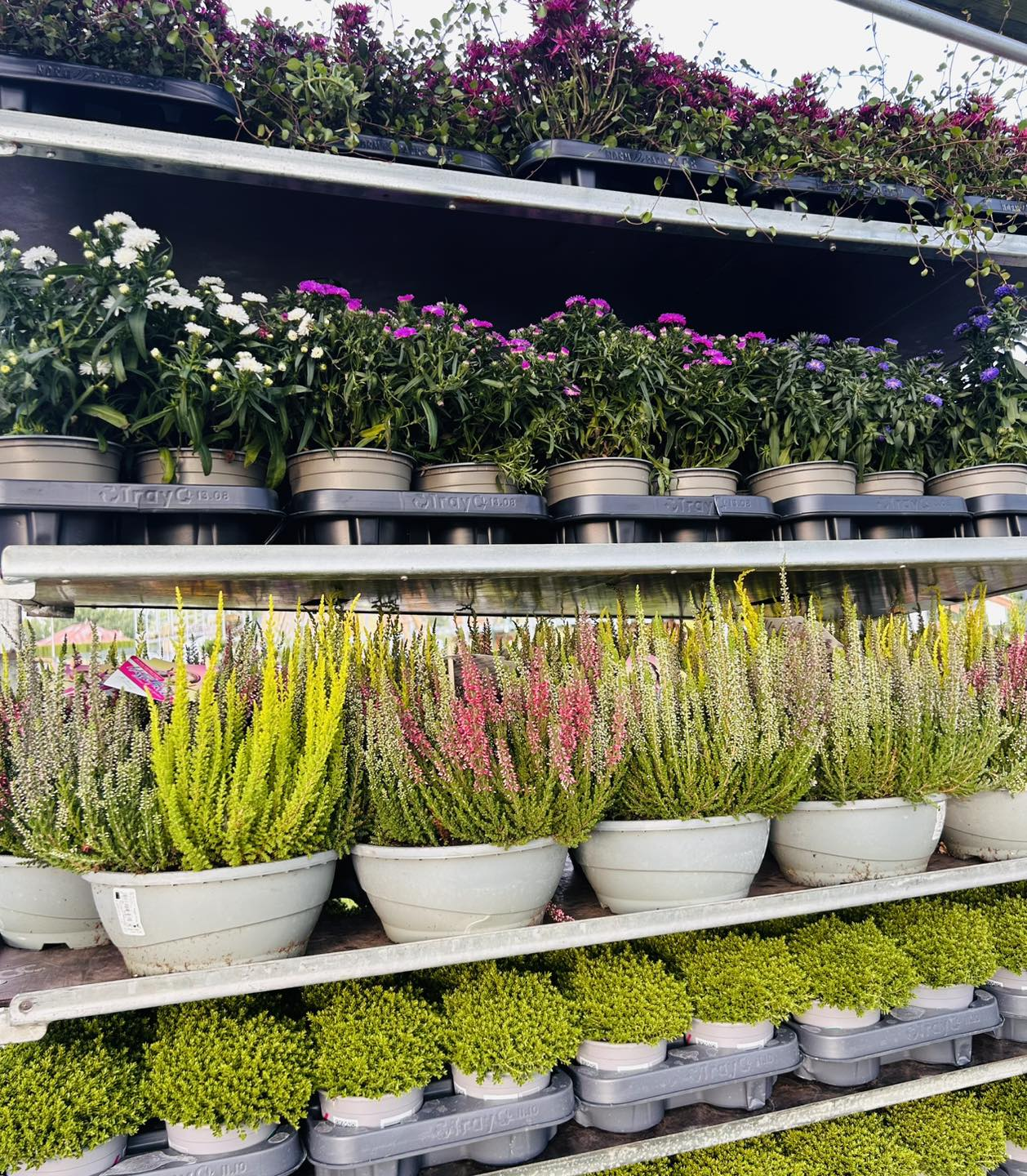 PSB Mrówka Niepołomice