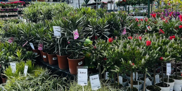 Zdjęcie: MARKET BUDOWLANY "DORBUD" S.C. DOROTA WCISŁO,JÓZEF WCISŁO,ŁUKASZ WCISŁO,MATEUSZ WCISŁO