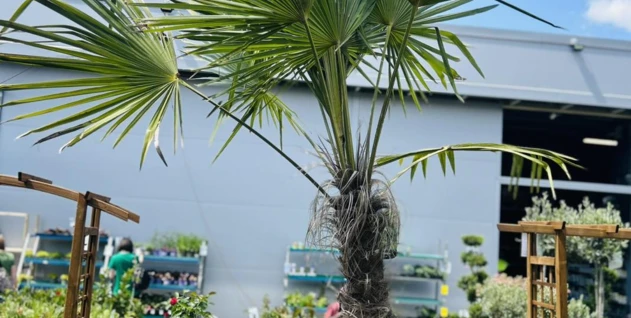 Zdjęcie: MARKET BUDOWLANY "DORBUD" S.C. DOROTA WCISŁO,JÓZEF WCISŁO,ŁUKASZ WCISŁO,MATEUSZ WCISŁO