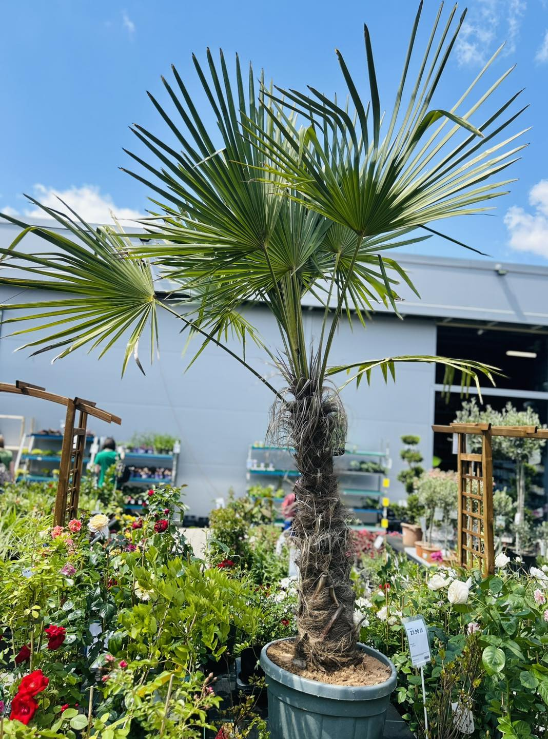 PSB Mrówka Niepołomice