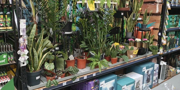 Zdjęcie: FIRMA USŁUGOWO-PRODUKCYJNO-HANDLOWA "DACH" ZDZISŁAW BRZESKI