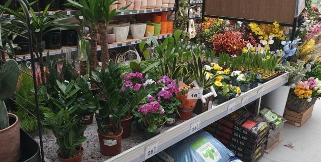 Zdjęcie: FIRMA USŁUGOWO-PRODUKCYJNO-HANDLOWA "DACH" ZDZISŁAW BRZESKI