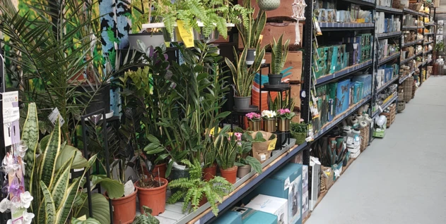 Zdjęcie: FIRMA USŁUGOWO-PRODUKCYJNO-HANDLOWA "DACH" ZDZISŁAW BRZESKI