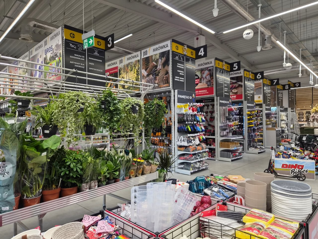 PSB Mrówka Paczków
