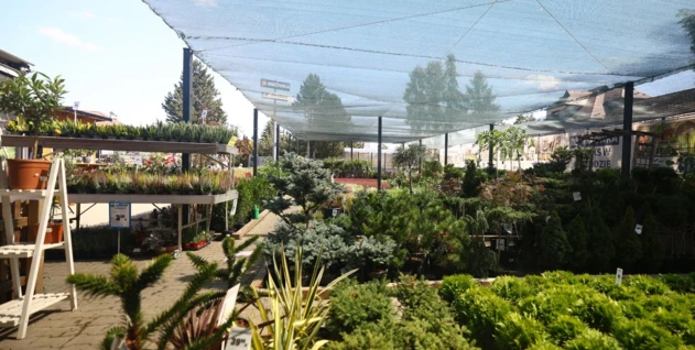 Zdjęcie: MARKA SPÓŁKA Z OGRANICZONĄ ODPOWIEDZIALNOŚCIĄ