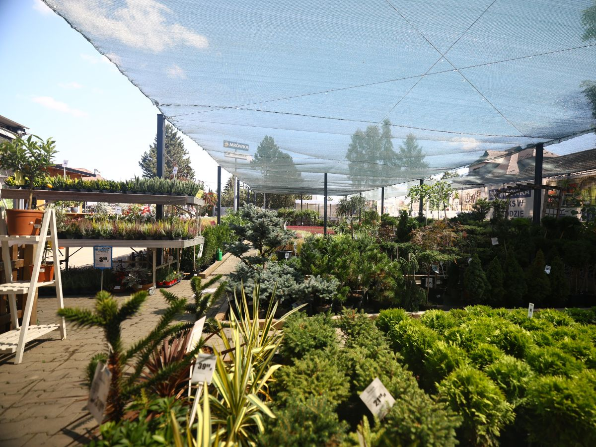 PSB Mrówka Nowy Wiśnicz