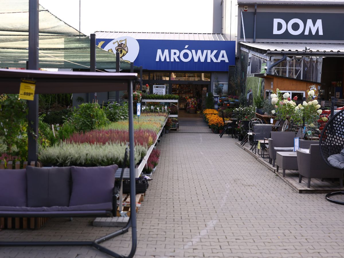 PSB Mrówka Nowy Wiśnicz