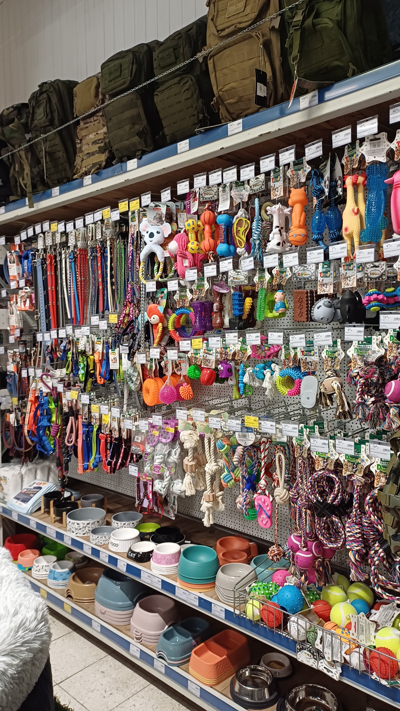 PSB Mrówka Elbląg ul. Grunwaldzka