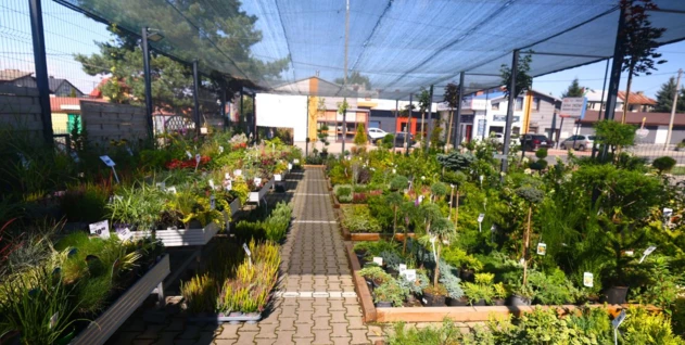 Zdjęcie: MARKA SPÓŁKA Z OGRANICZONĄ ODPOWIEDZIALNOŚCIĄ