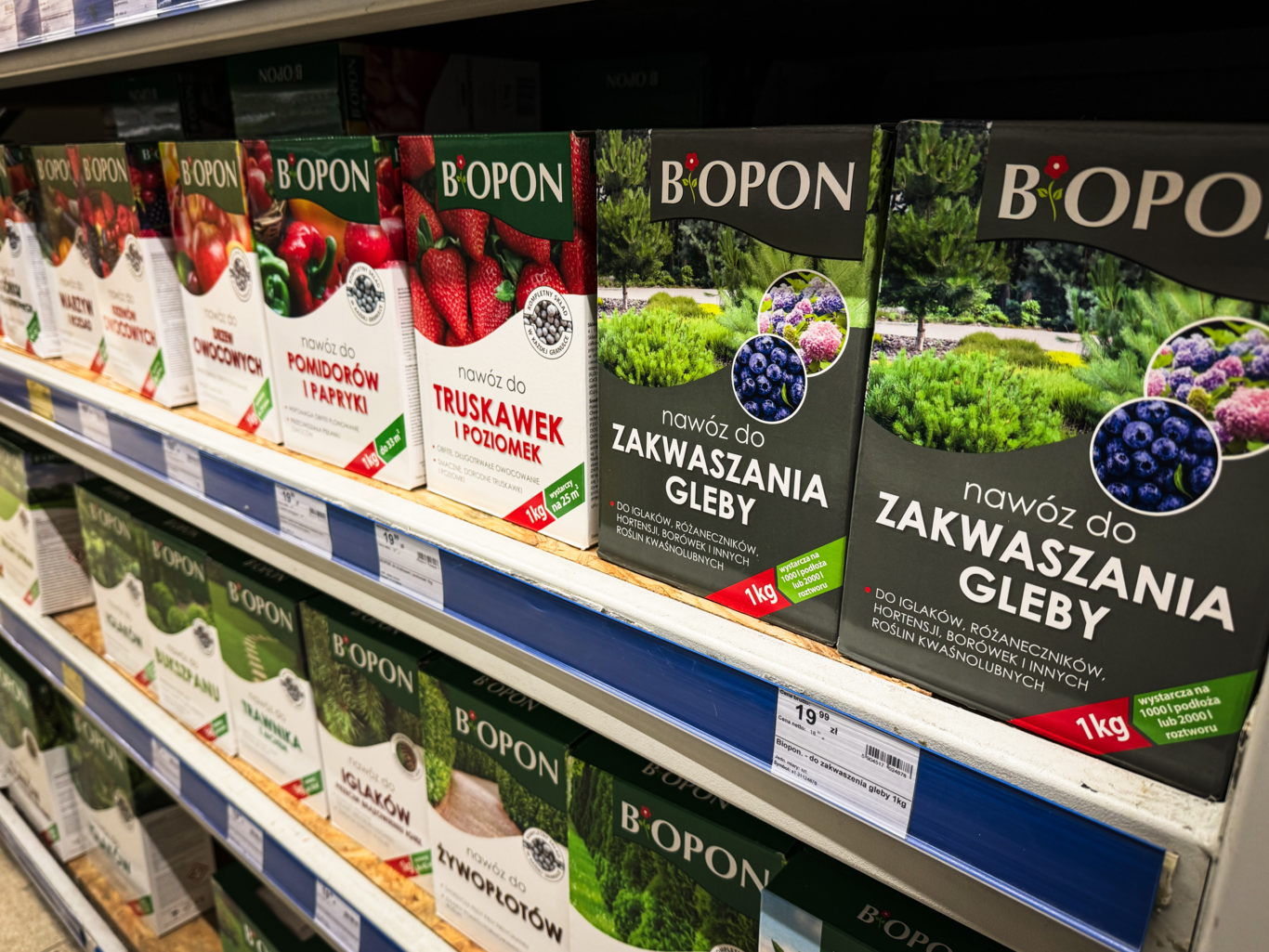 PSB Mrówka Miastko